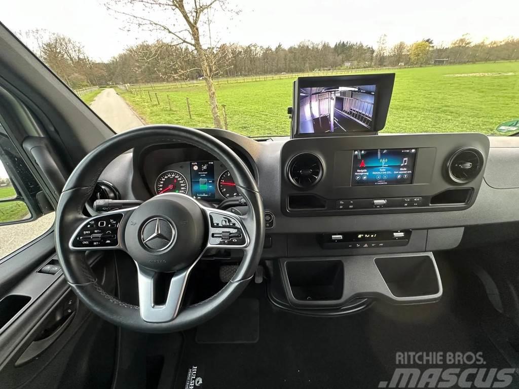 Mercedes-Benz Sprinter AMG 2-paards paardenvrachtwagen B-rijbewi Pojazdy do transportu zwierząt