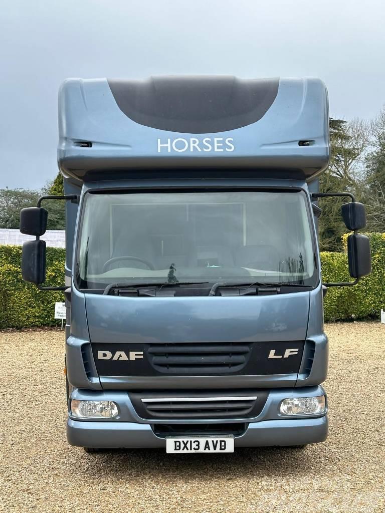 DAF LF Horsebox (2020 Build) Pojazdy do transportu zwierząt