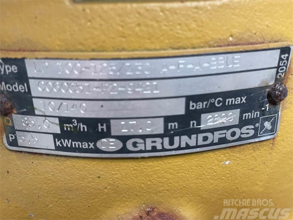 Grundfos type LP 100-125/130 A-F-A-BBUE pumpe Pompy wodne