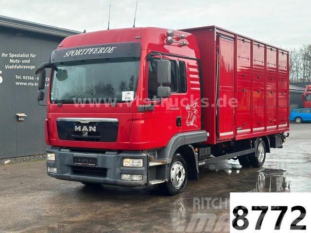 MAN TGL 10.250 4x2 Euro5 1.Stock Westrick Pojazdy do transportu zwierząt