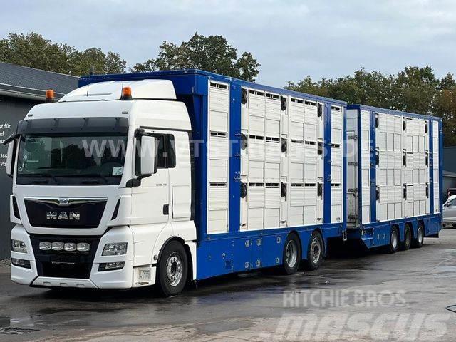 MAN TGX 26.480 6x2 3.Stock FINKL + Tandemanhänger Pojazdy do transportu zwierząt